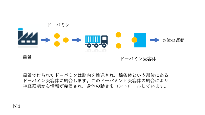 パーキンソン病とパーキンソン症候群 | 天沼きたがわ内科